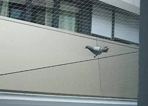 Bird control installation service